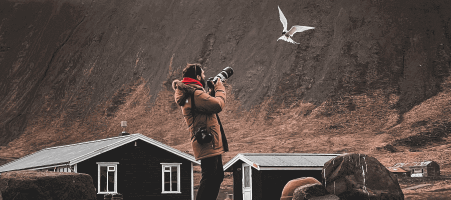 A photographer taking a photo of a bird