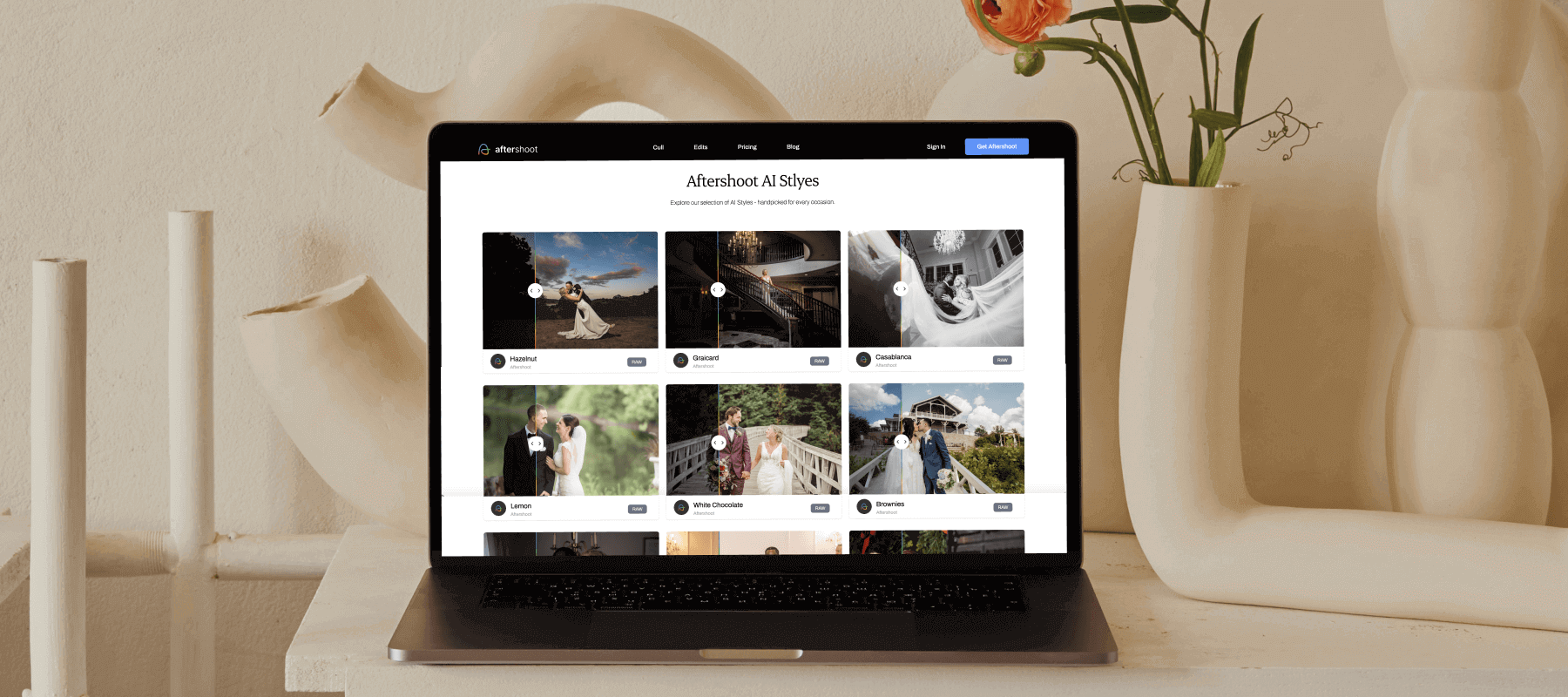 Aftershoot Marketplace where pre-built AI Profiles are accessed