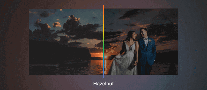 Pre-built AI Profile called Hazelnut