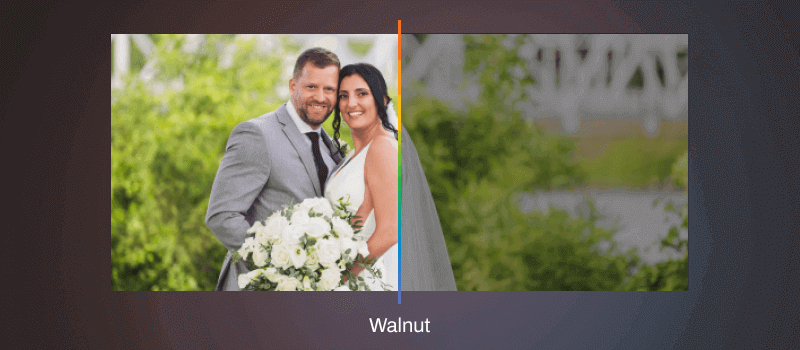 AI Style: Walnut