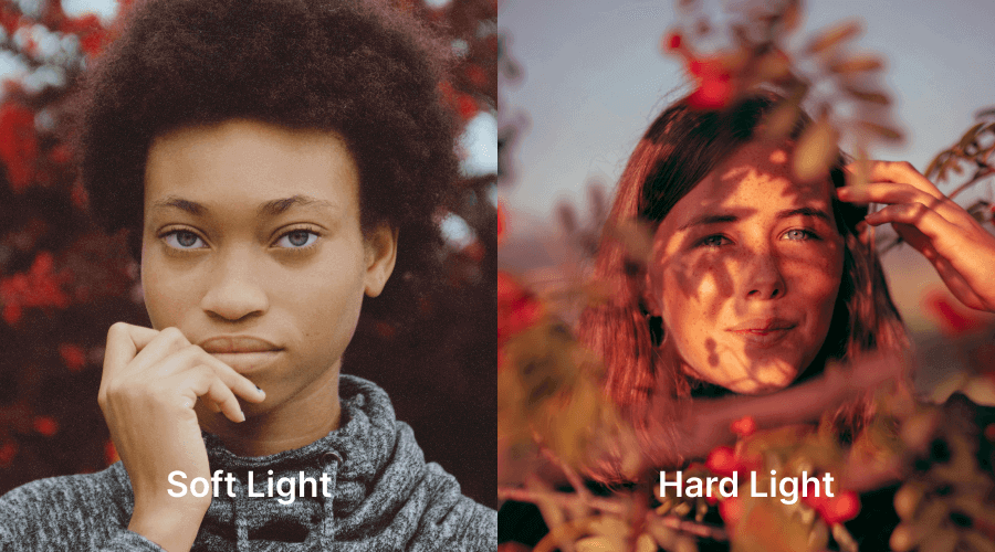 hard light vs soft light photography comparison