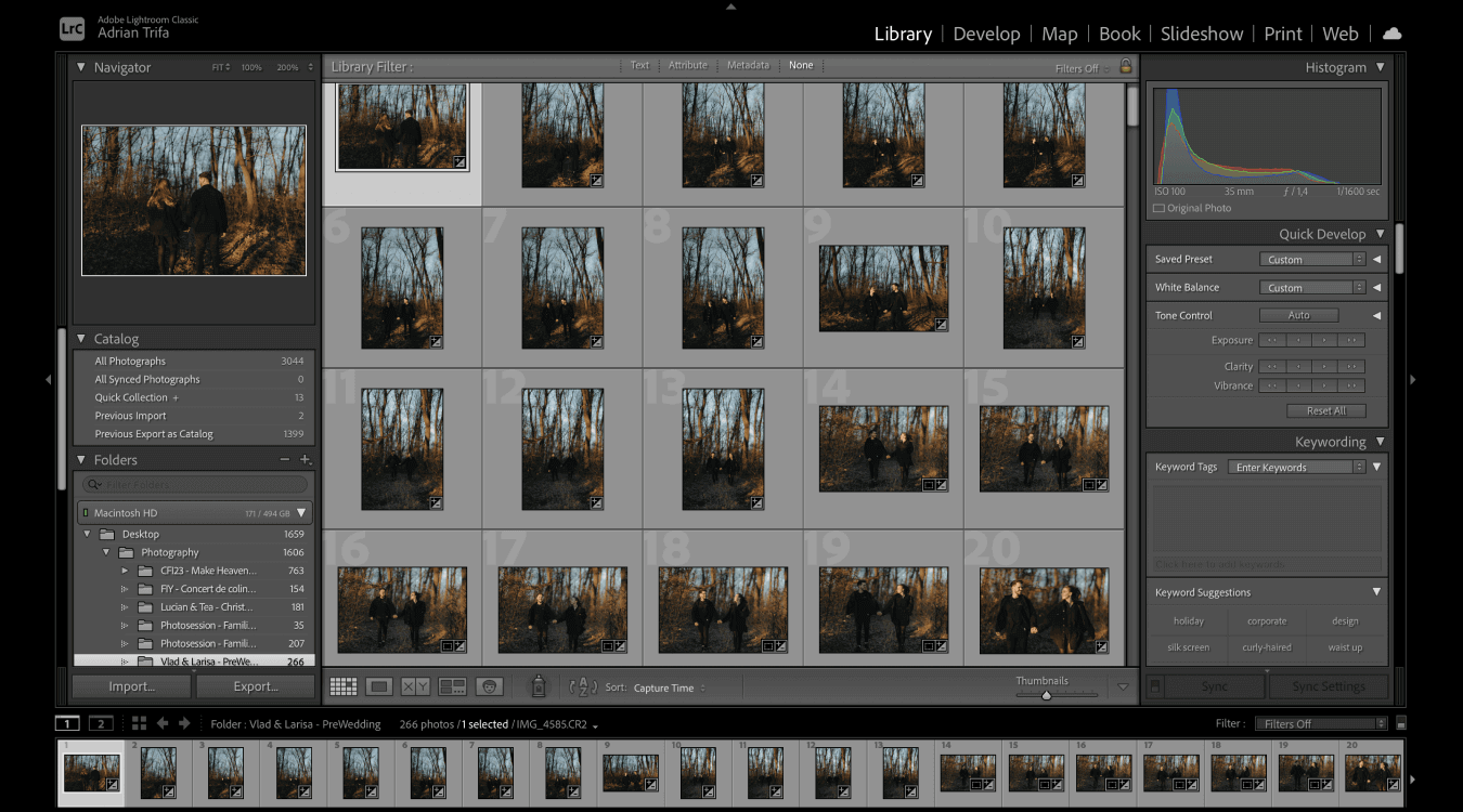 Lightroom image previews