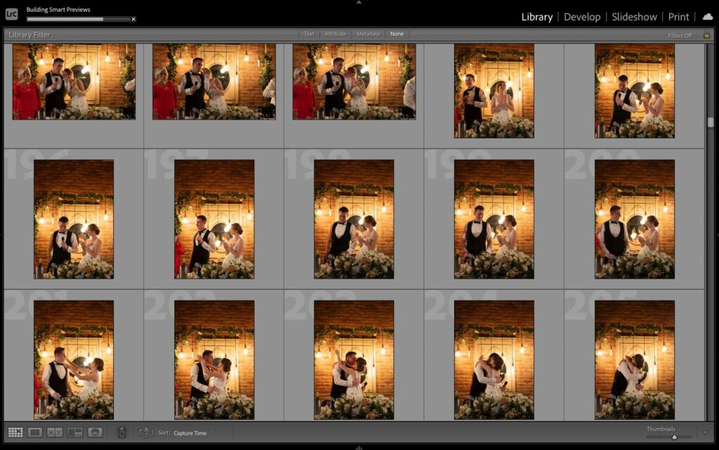 Library Module in Lightroom