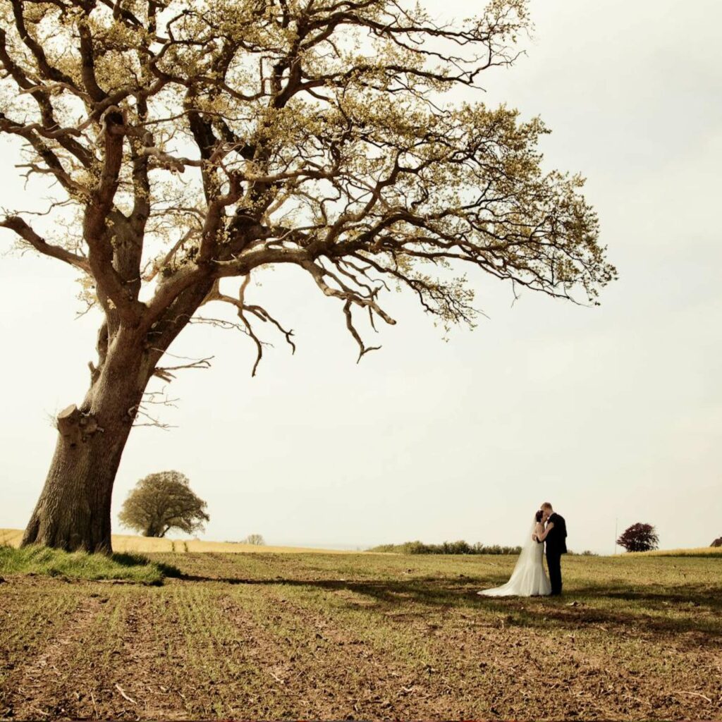 wedding photography styles