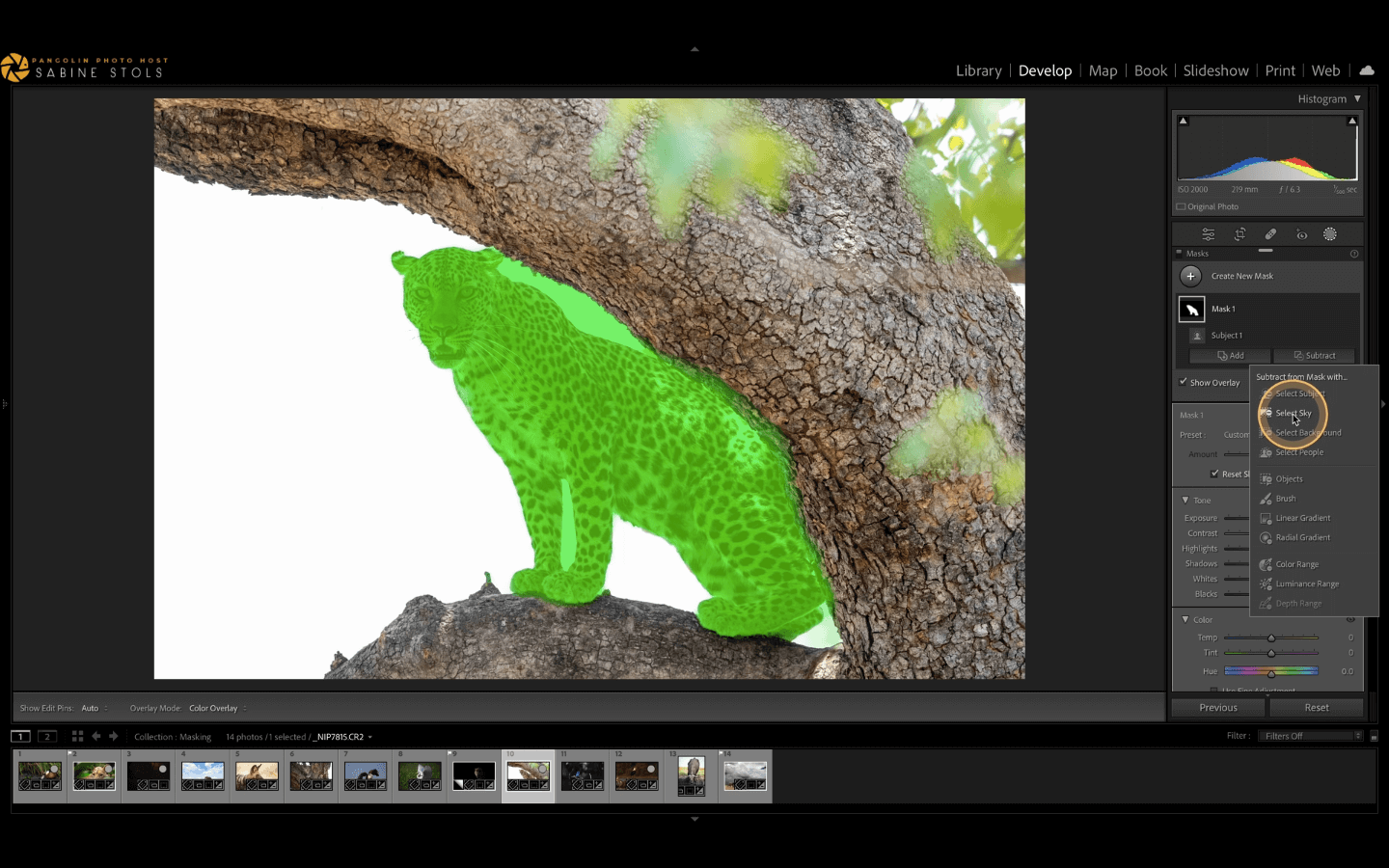 AI masking in Lightroom