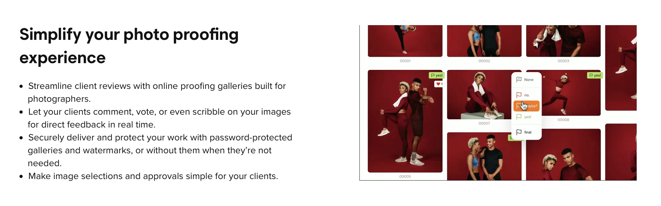 Photo Proofing from picdrop