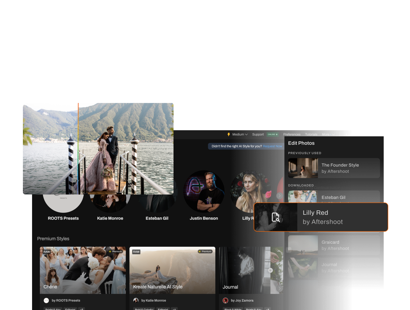 Your AI Editing Profile desktop
