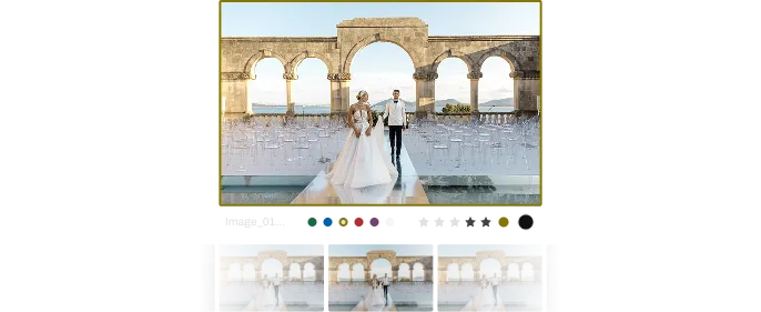 Survey Mode lets you view zoom and tag favorites with a click Pic