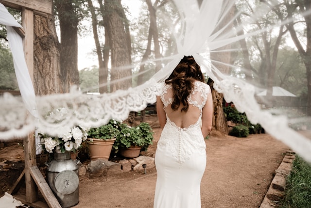 wedding dress photo example