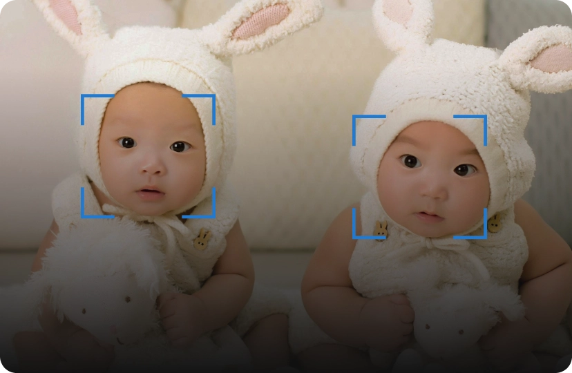 Face dectection visual