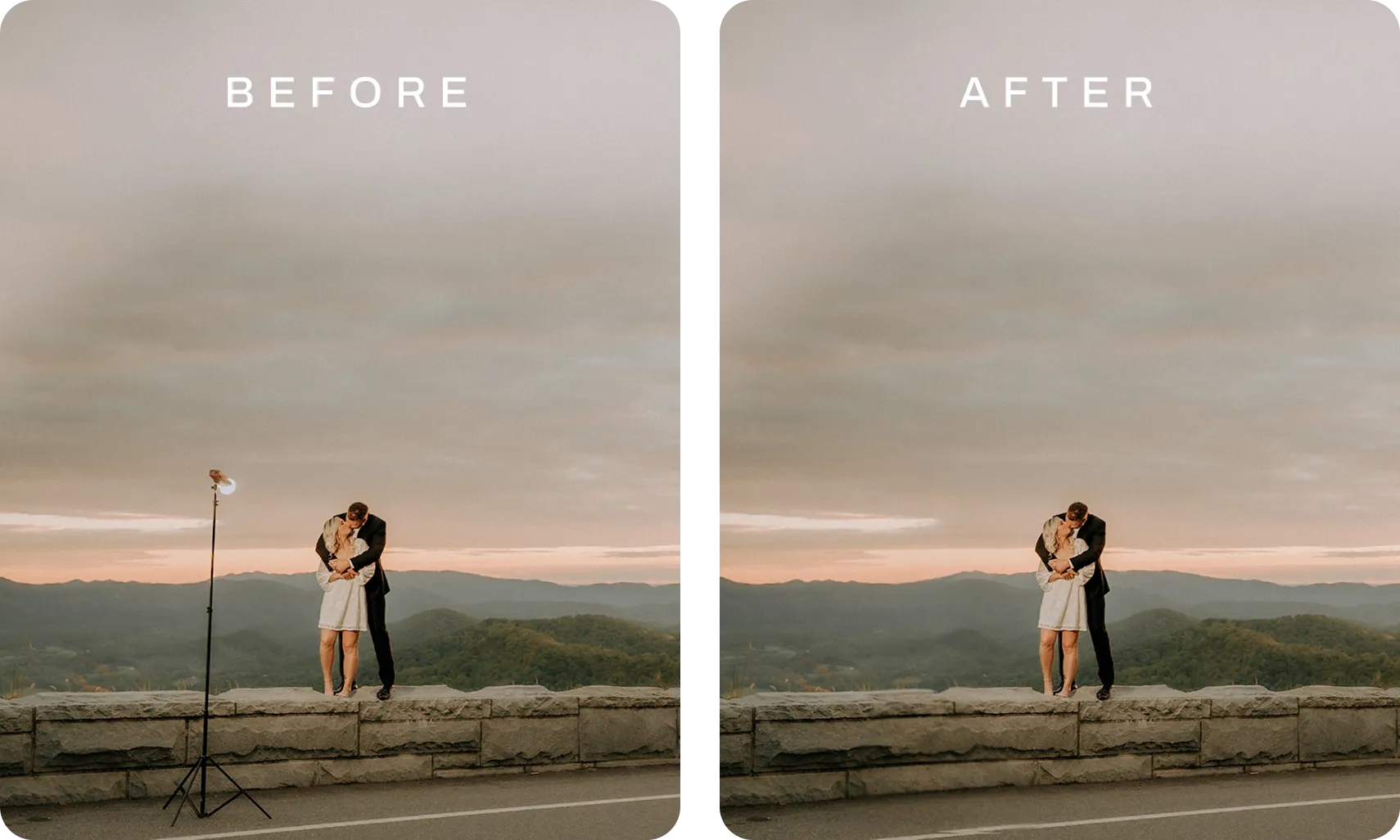 Easily Remove Unwanted Objects with AI precision