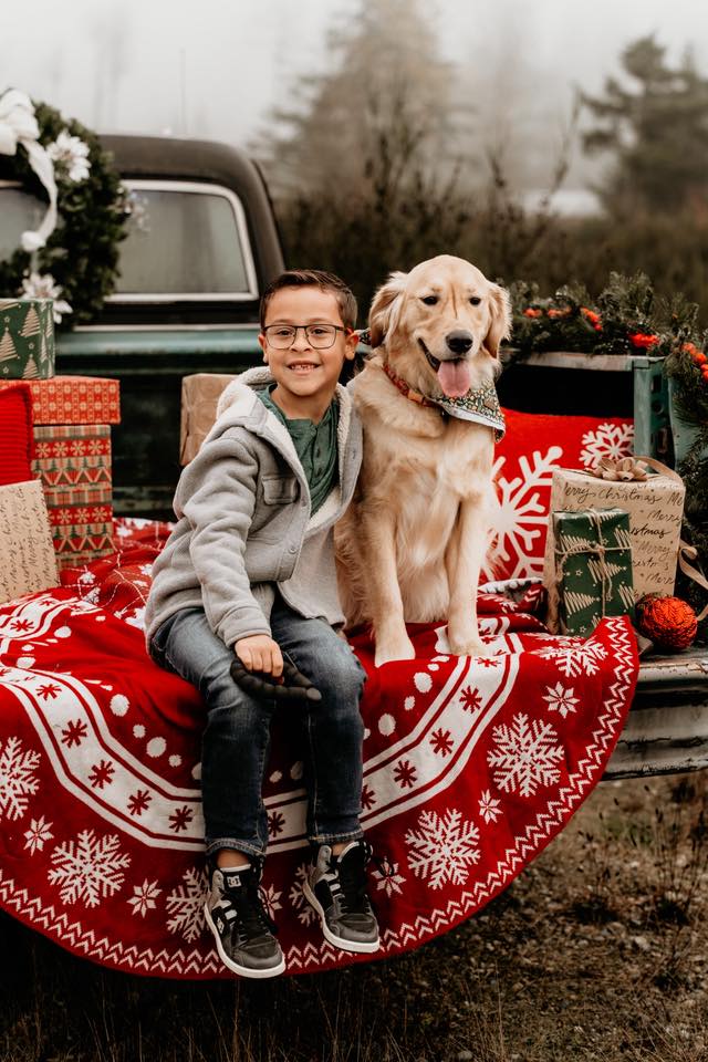 pet christmas photoshoot