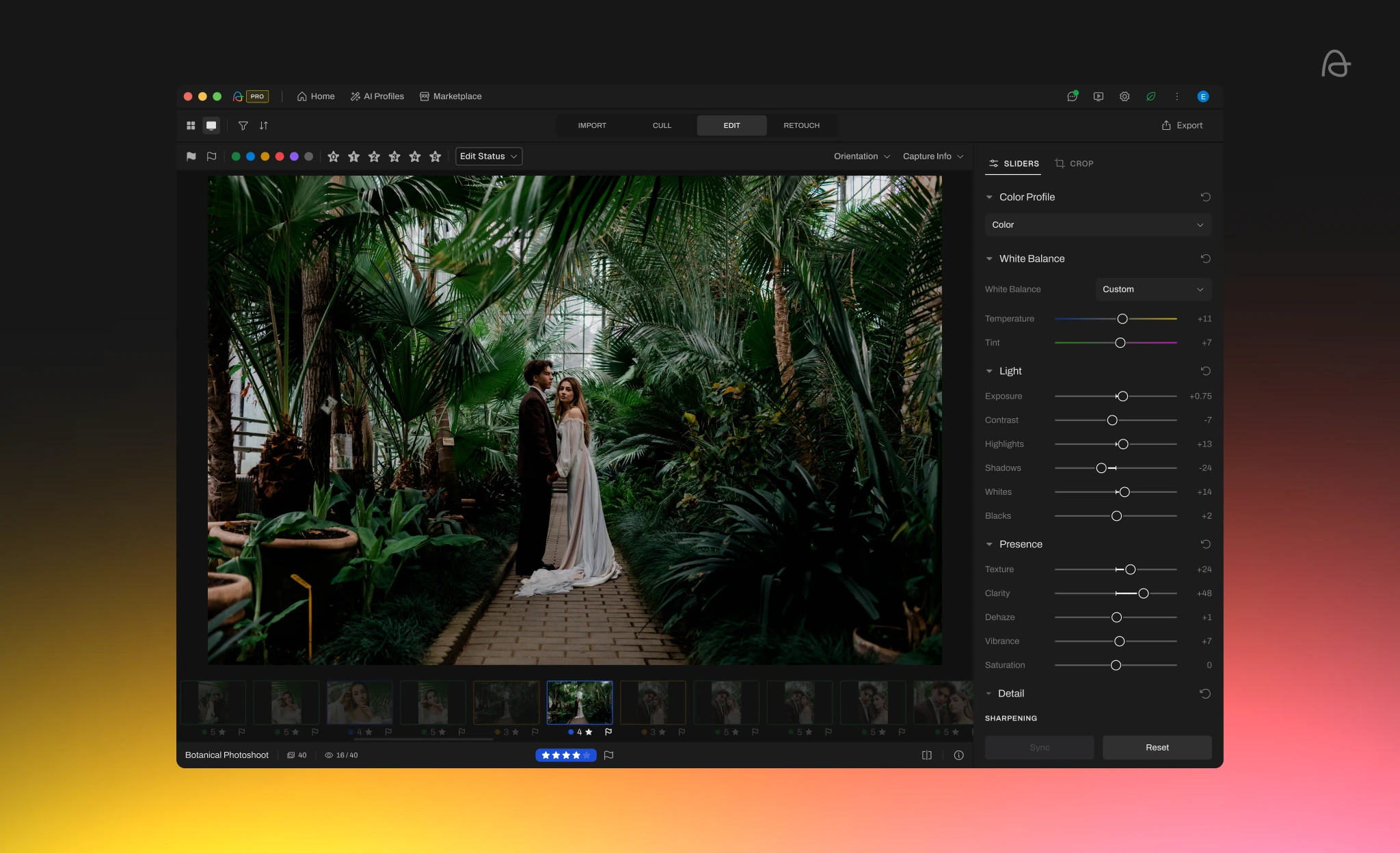 RAW Editing Interface