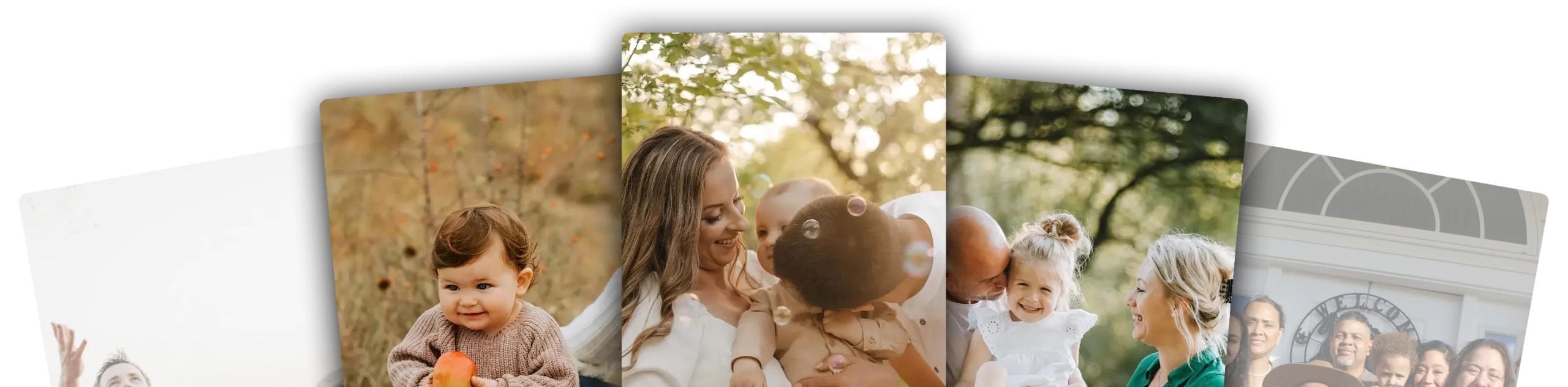 Family Photography Workflow Software