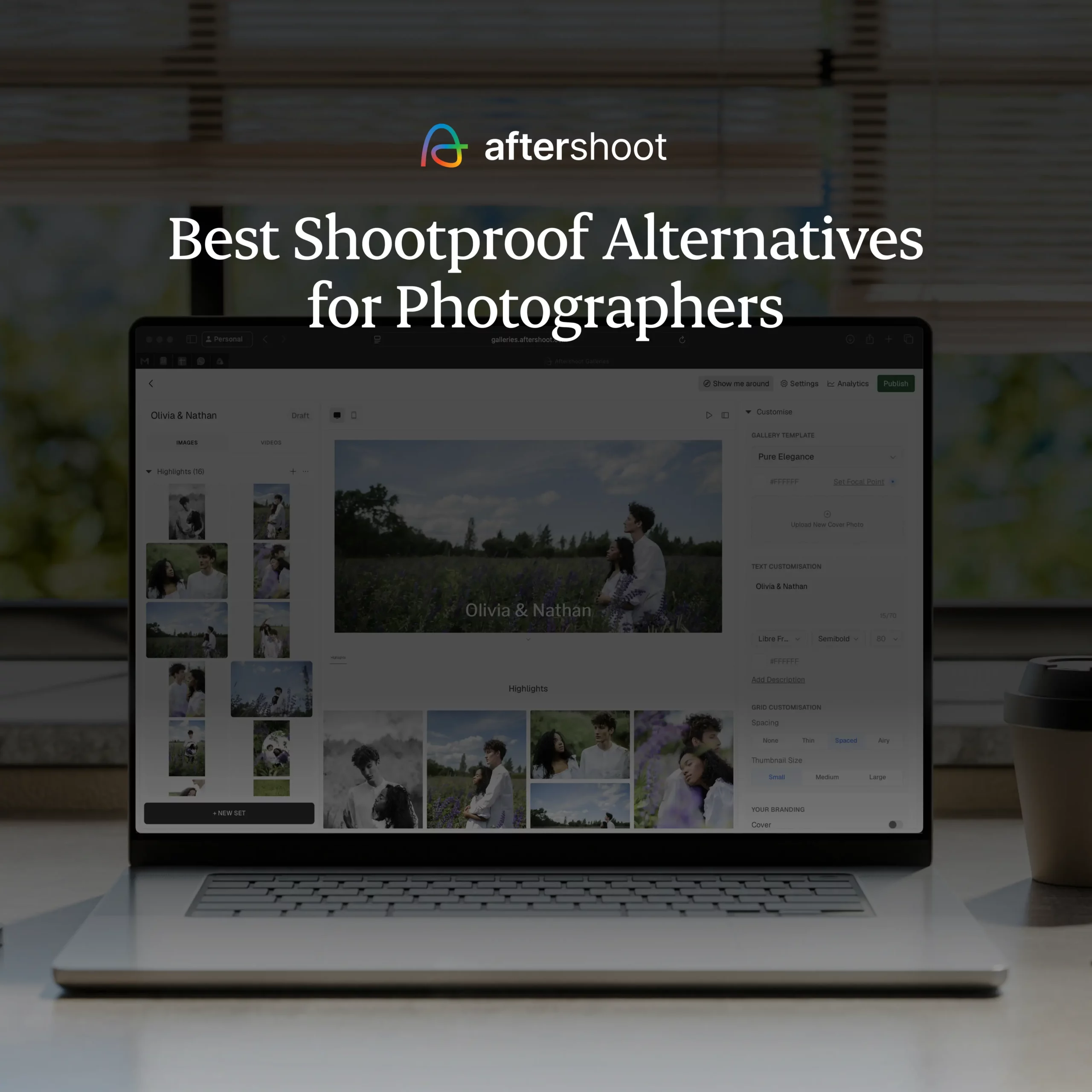 Best ShootProof Alternatives for Photographers
