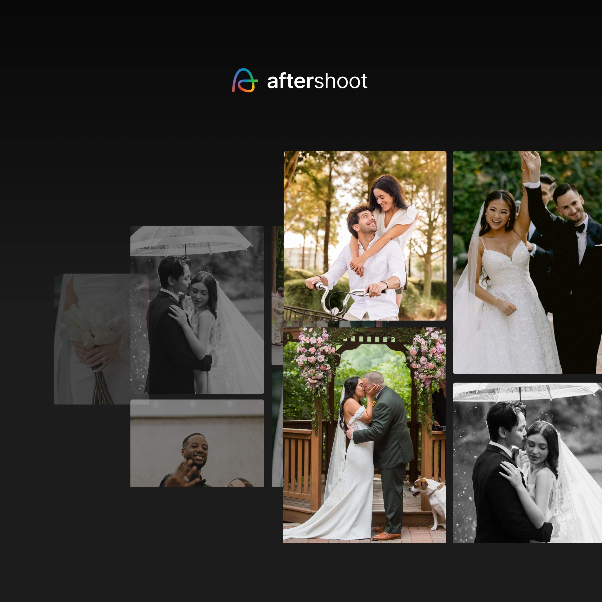 Best Pic-time Alternatives