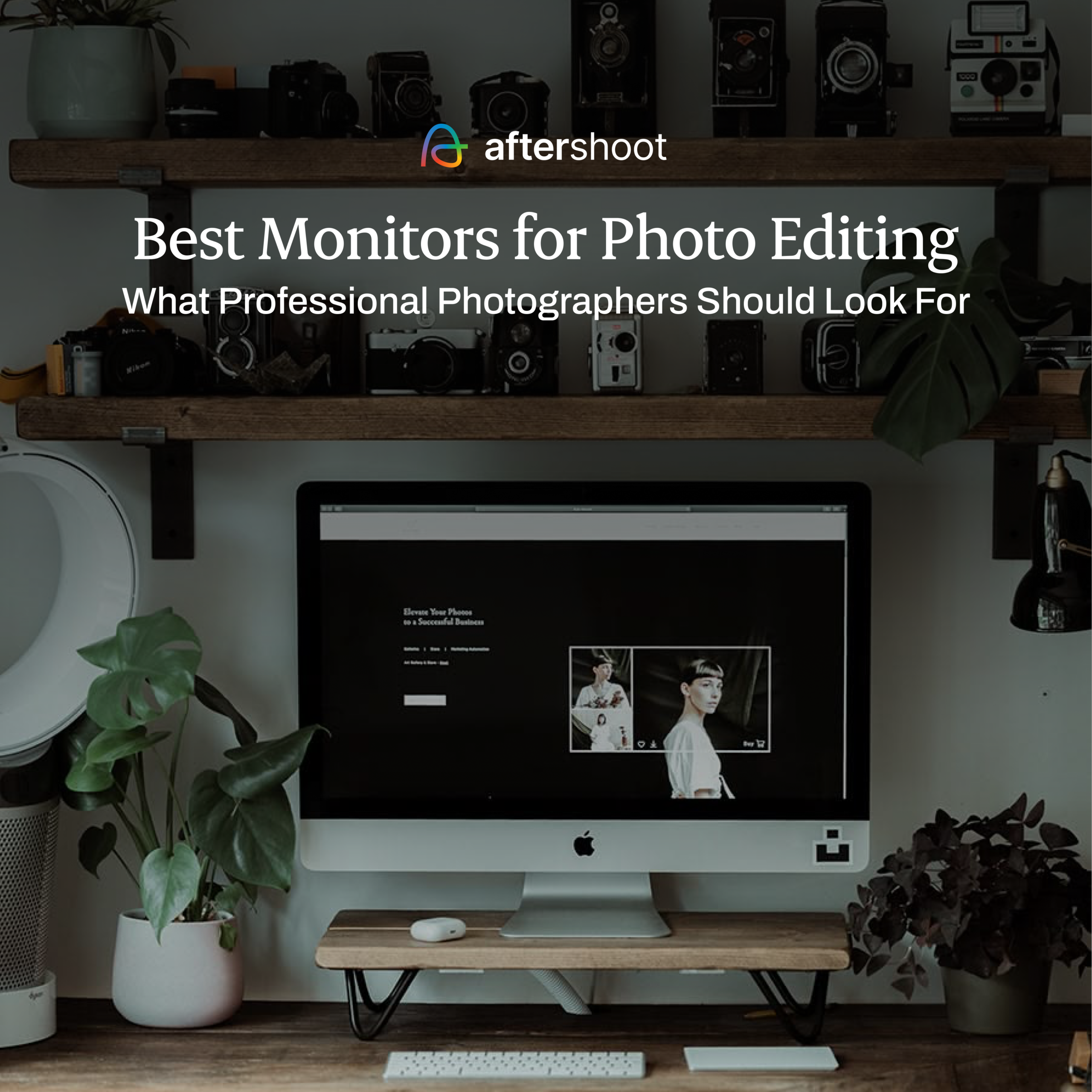 Best Monitors for Photo Editing What Professional Photographers Should Look For