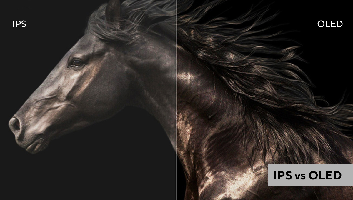IPS vs OLED - photo edting