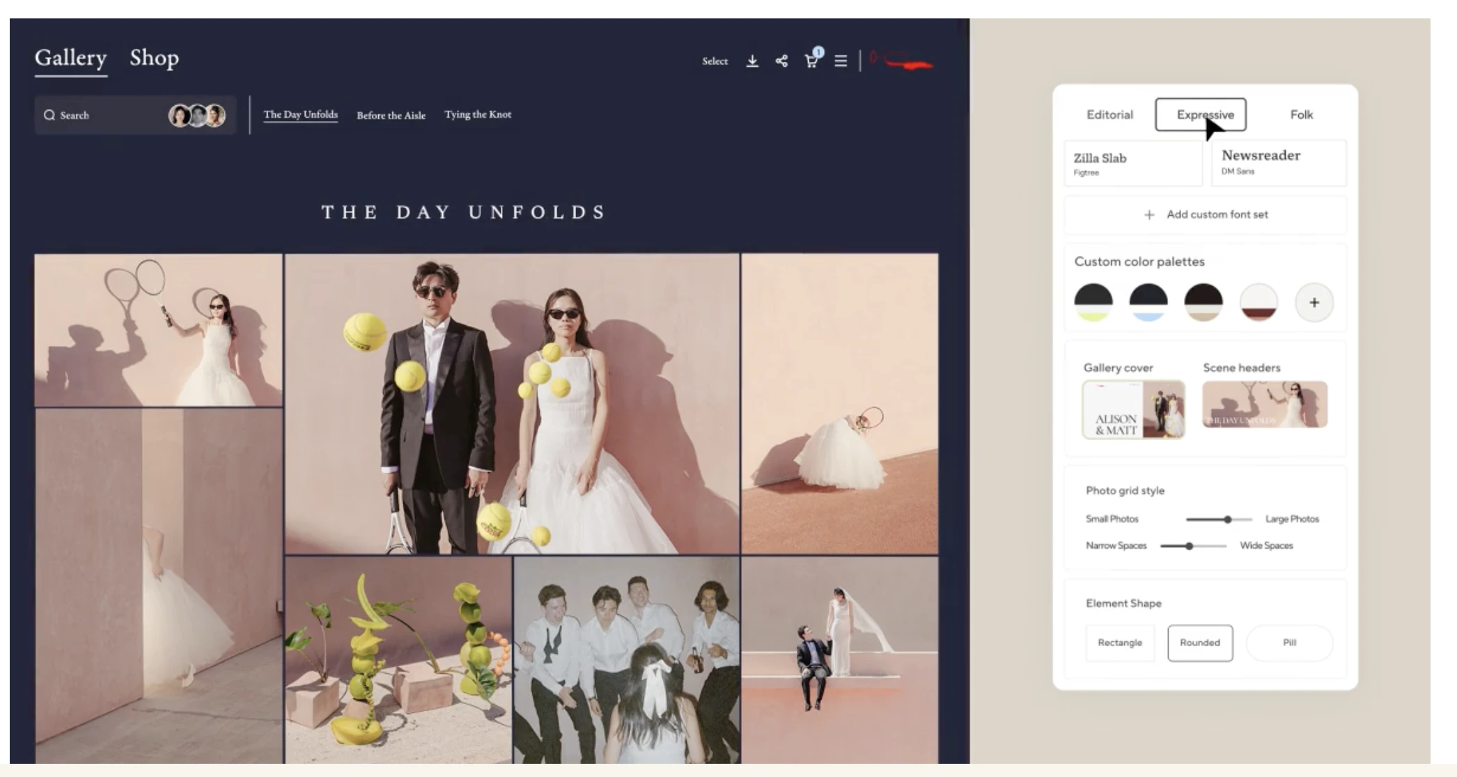Pic-time Galleries Interface