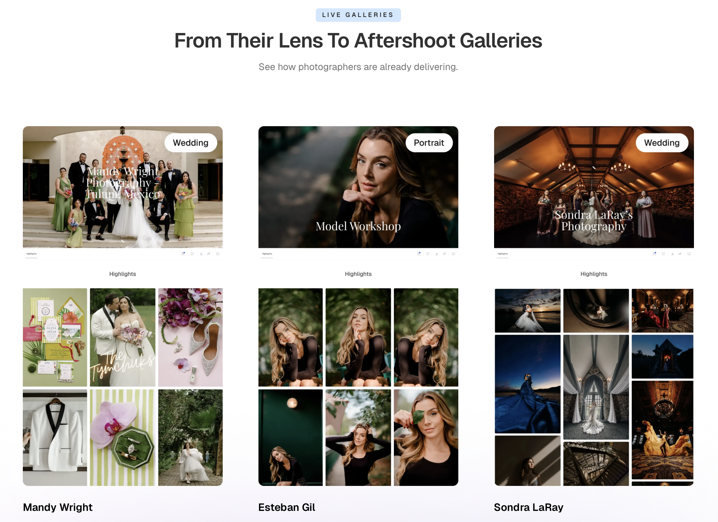 A snapshot of live Aftershoot Galleries, a SmugMug Alternative.