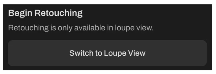 Aftershoot Retouching Loupe View