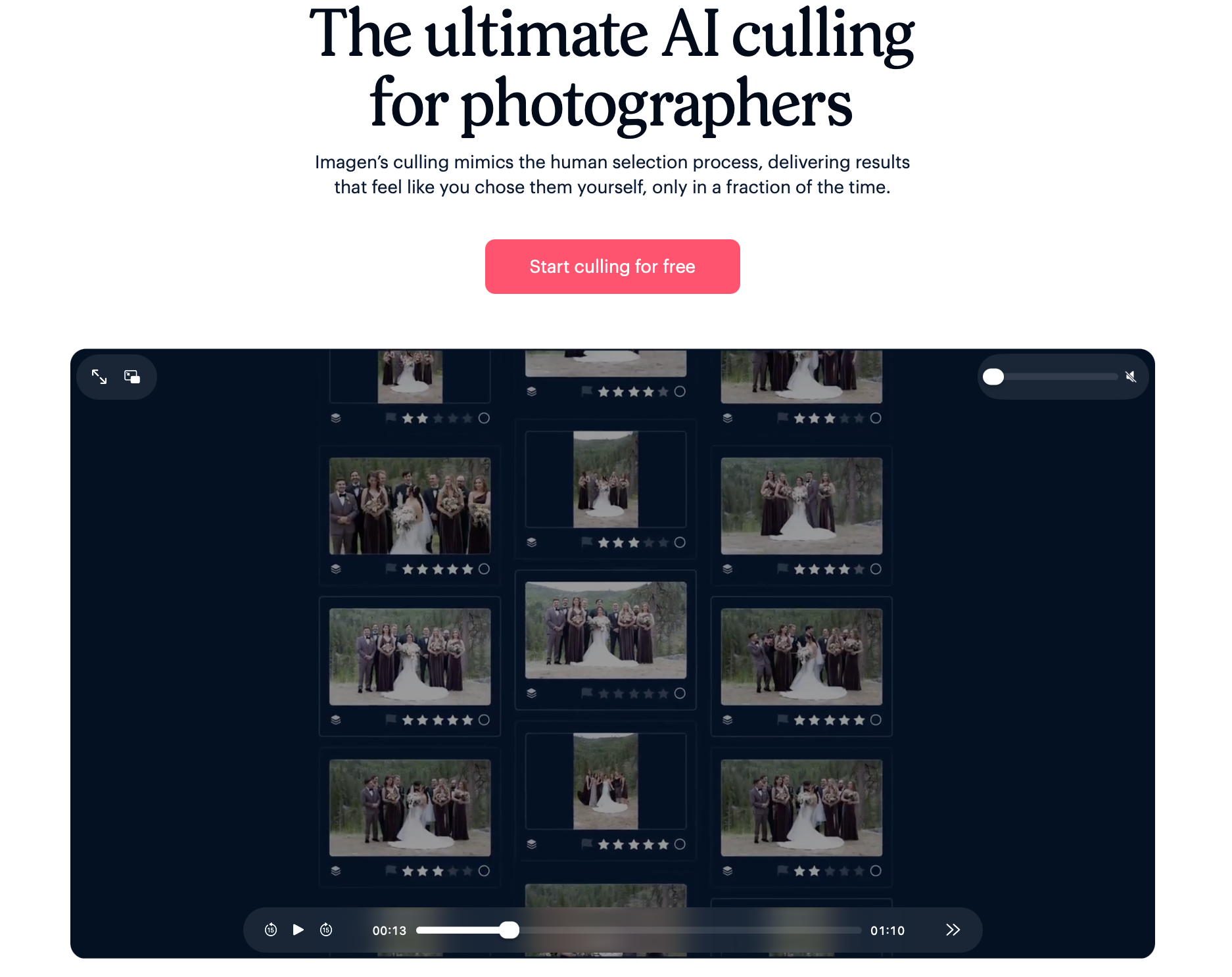Imagen AI culling software