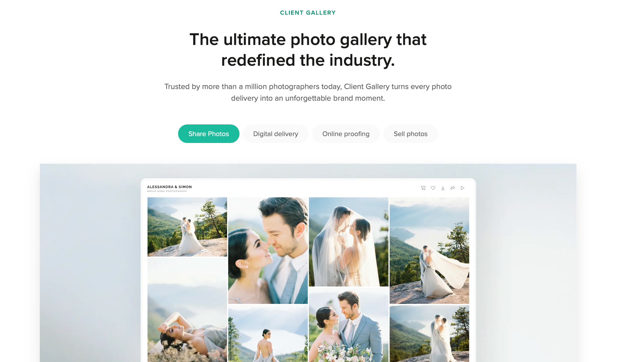 Snapshot of Pixieset's gallery.