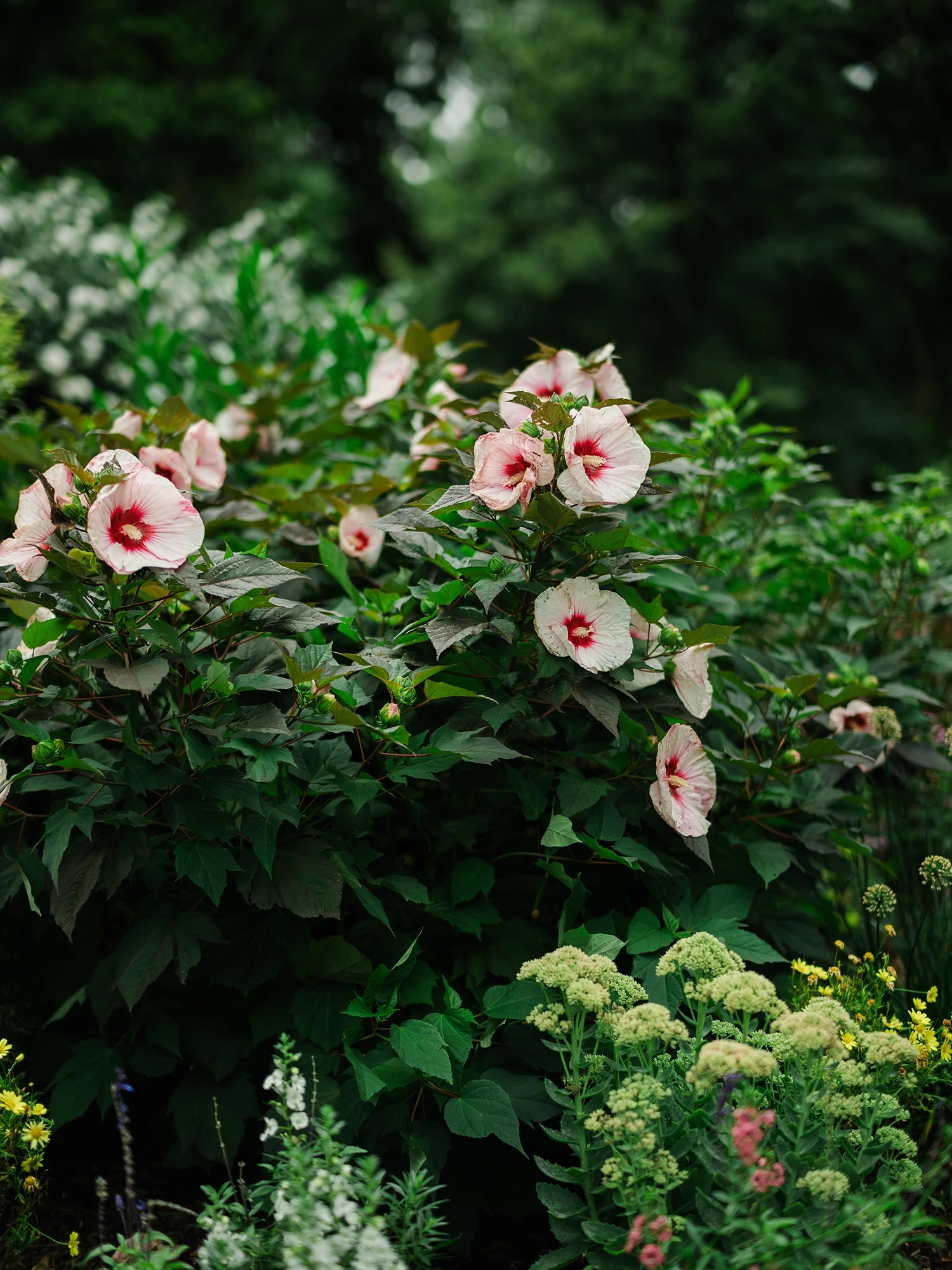 Common Photo Editing Mistakes Photographers Make (And How to Fix Them)