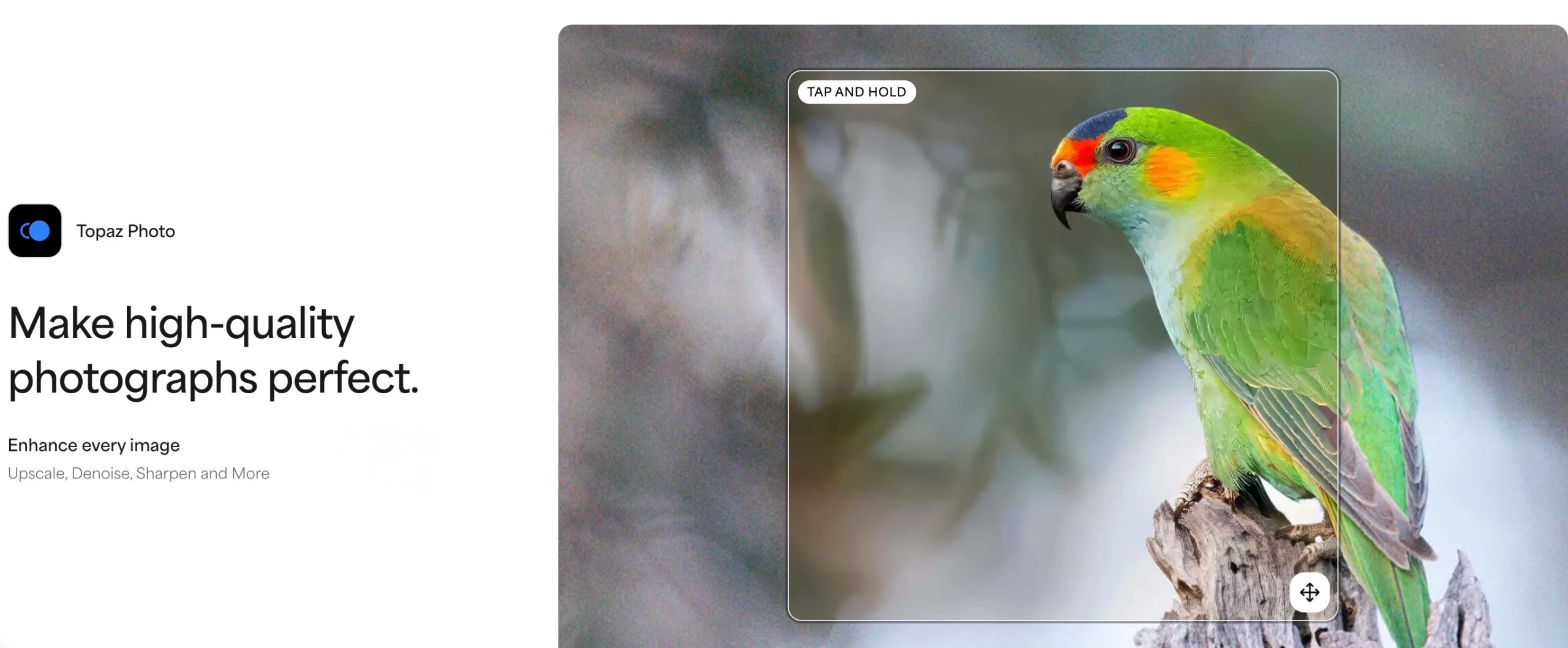 Topaz Photo AI