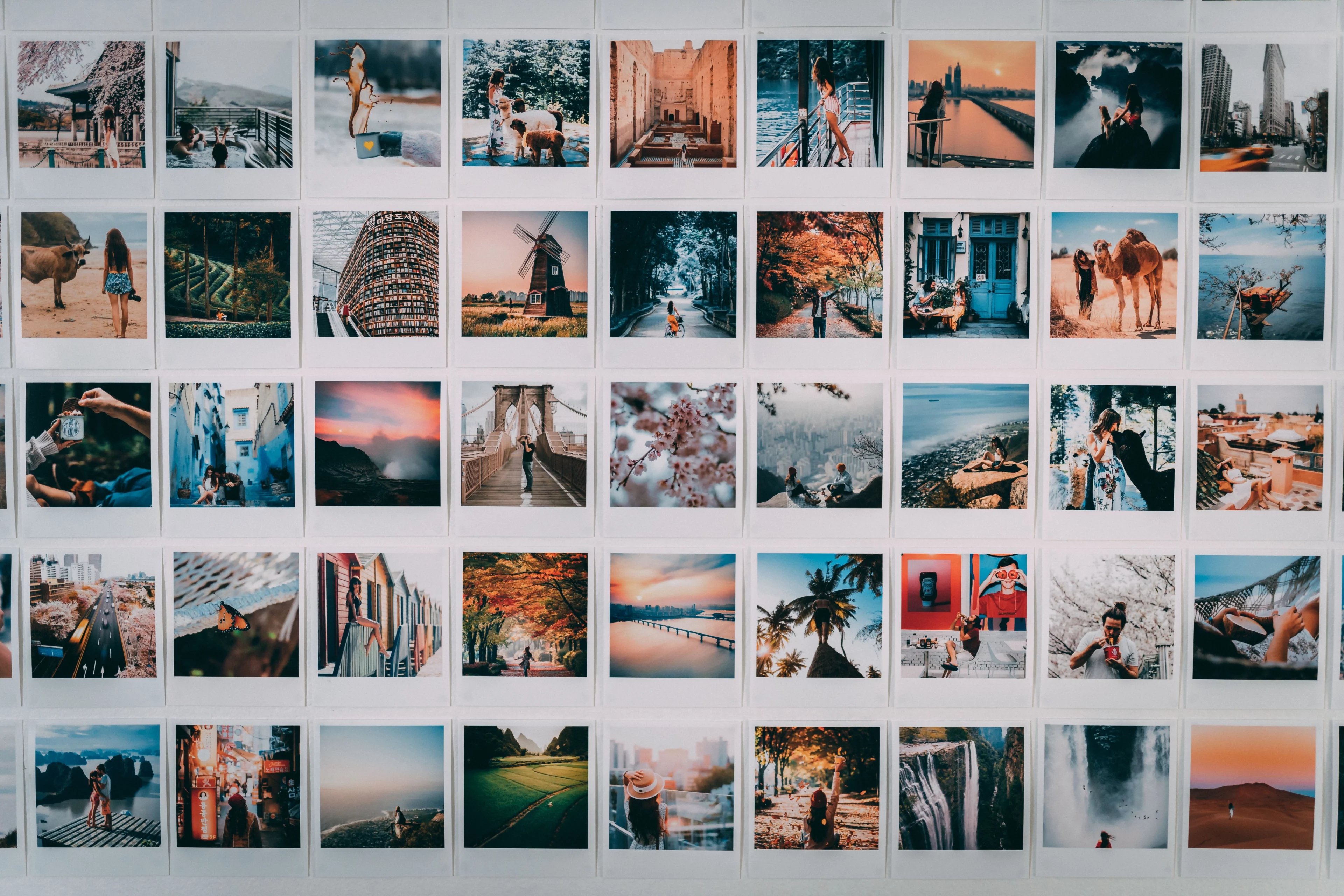 Best Photo Hosting Sites for Photographers