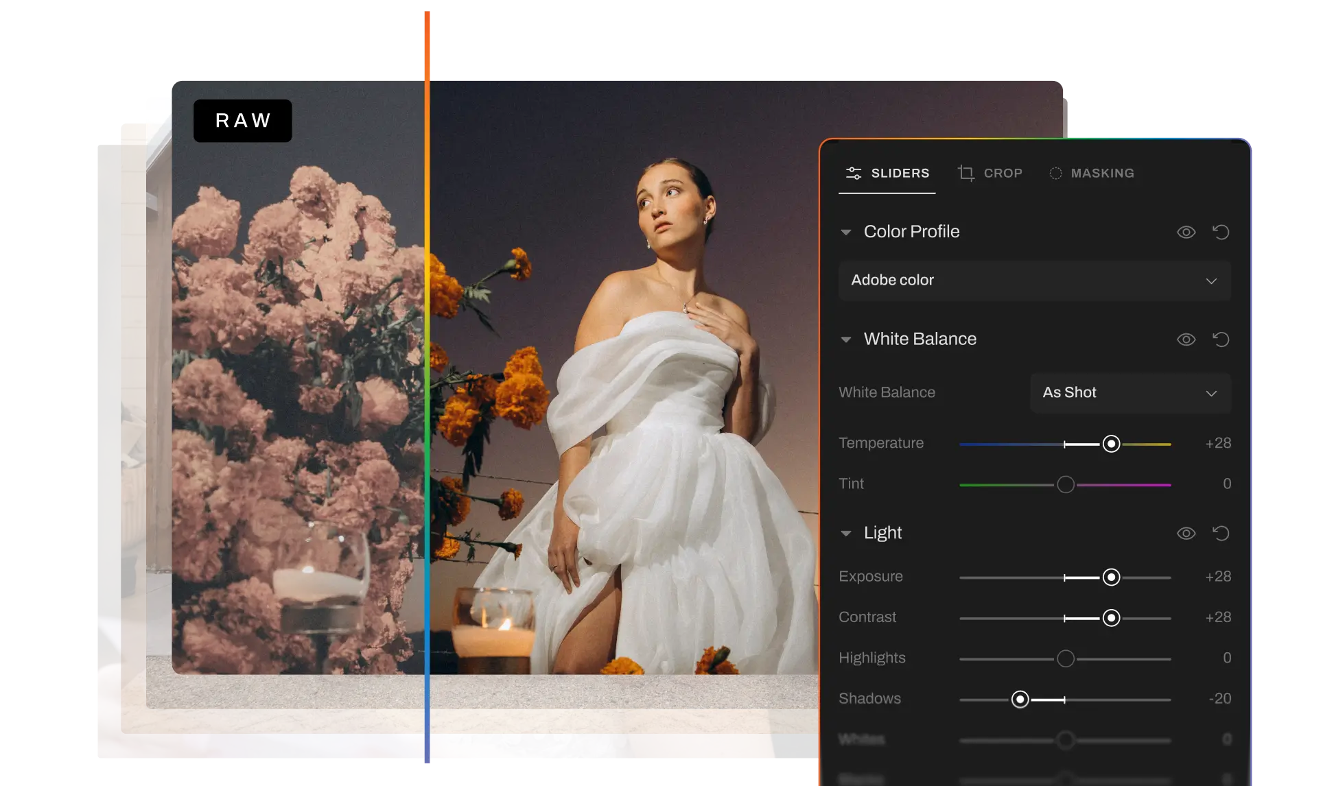 Adjust With RAW Editor